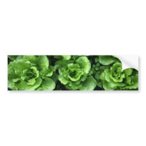 Bed of lettuce bumper stickers