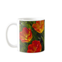 Bed of Orange Tulips Coffee Mugs