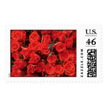 Bed of Roses (2) [CUSTOMIZE] postage