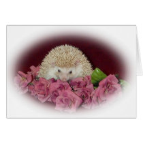 Bed of Roses Hedgehog cards by nannyogg Bed of Roses Hedgehog cards