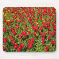 Bed of Tulips mousepads by artberry Bed of Tulips mousepads