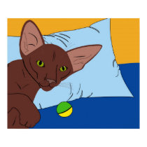 "Bed Time" Havana Kitten Oriental Shorthair posters by Robyn_Sprung "Bed Time" Havana Kitten Oriental Shorthair posters