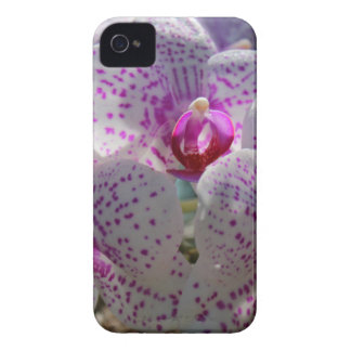 Bedazzled iPhone 4 Cases | Zazzle