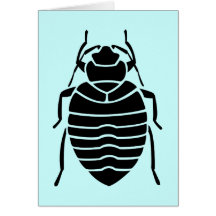 Bedbug Insect Print Cards