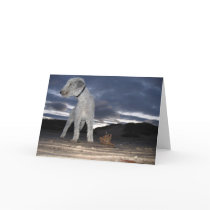 BEDDY ON THE BEACH GREETING CARDS