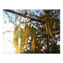Bedecked Custom Announcements