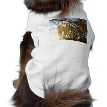 Bedecked pet clothing