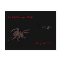 Bedelia The Spider Left postcards by JaZilla Bedelia The Spider Left postcards