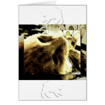 "Bedfellows" by Suan S'Katra Greeting Cards