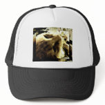 "Bedfellows" by Suan S'Katra Trucker Hat