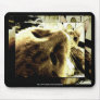 "Bedfellows" by Suan S'Katra Mousepad