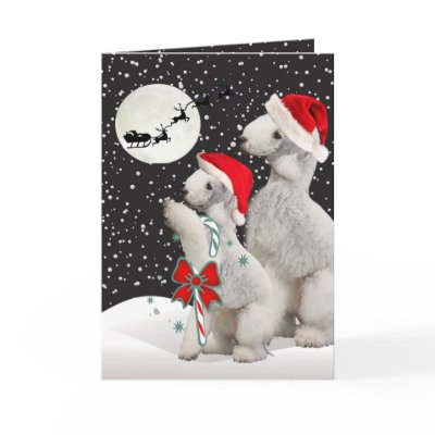 Bedlington Season Greetings Cards by friskybiz
