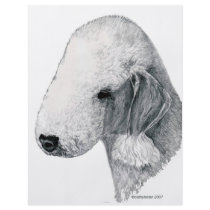 Bedlington Terrier flyers