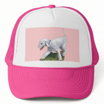 Bedlington Terrier hats