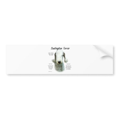 Bedlington Terrier History Design Bumper Stickers by GreyWolfCreation