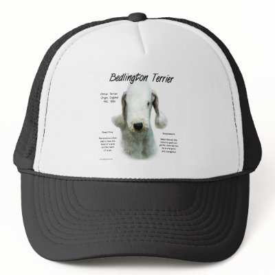 Bedlington Terrier History Design Mesh Hat by GreyWolfCreation