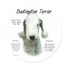 Bedlington Terrier History Design Round Stickers