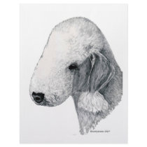 Bedlington Terrier Letterhead Design