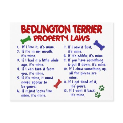 BEDLINGTON TERRIER Property Laws 2 Post Cards by poochloverstuff