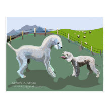 Bedlington Terriers - Meeting your Hero Post Card