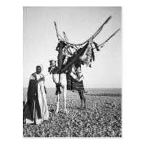 Bedouin man and camel, Syria Postcard