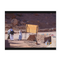 Bedouin on Camel, South Sinai, Egypt Postcards