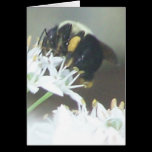 Bee2 cards
