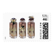 bee2 postage by keithmcdowell bee2 postage