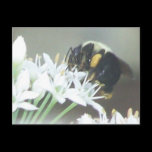 Bee2 postcards