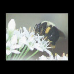 Bee2 postcards