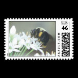 Bee2  Stamps stamps