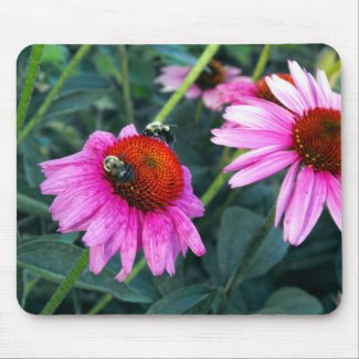 Bee and Coneflower mousepad