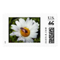 Bee and Daisy postage