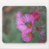 Bee and England Aster Mousepad by toots1 Bee and England Aster Mousepad