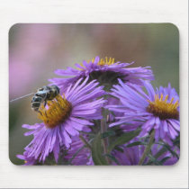Bee and England Aster Mousepad by toots1 Bee and England Aster Mousepad