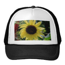 Bee and Flower Cards Mesh Hat