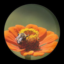 Bee and flower Magnet