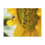 Bee and Sunflower Post Card