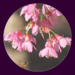Bee and Taiwan Cherry Sticker