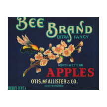 Bee Apple Crate Label Stretched Canvas Print