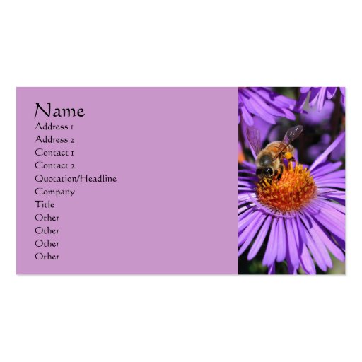 Bee Aster Flower Nature Photography Business Card (front side)