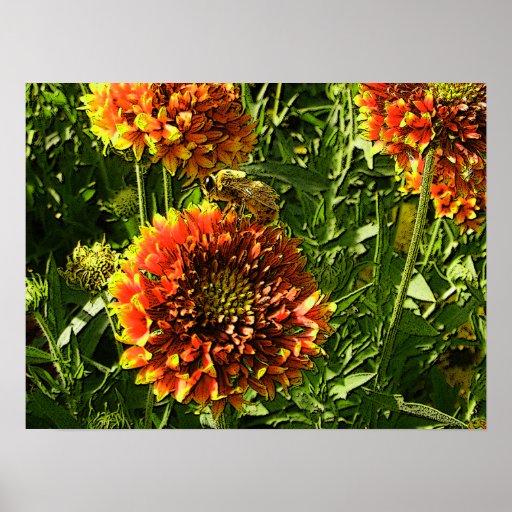 Bee at rest posters