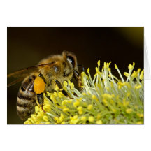 Bee at Work Card