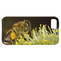 Bee at Work iPhone 5 Cover