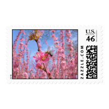 Bee at Work on Pink Blossoms Stamp
