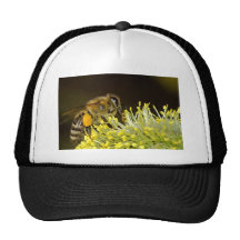 Bee at Work Trucker Hats