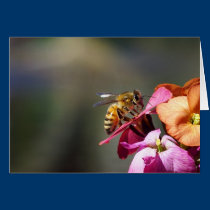 Bee-atiful Bee! cards