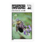 Bee-autiful Bee! postage
