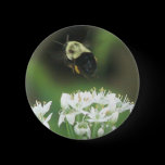 Bee Away buttons