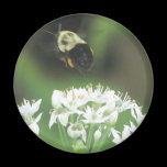 Bee Away magnets